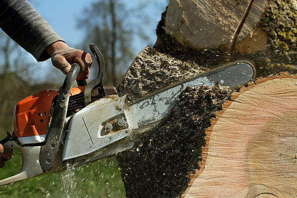 Mulching Services in Stafford, TX